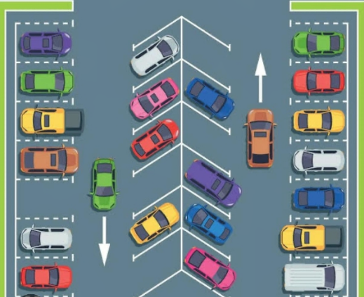 Professional Instructor